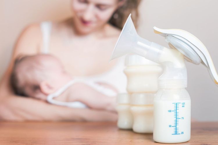 Ilustrasi susu ibu hamil