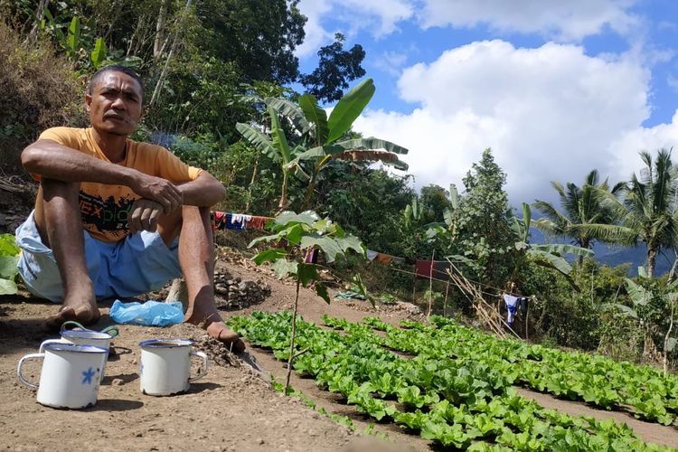 Foto : Nikolaus Nakung (48), warga Desa Rana Mbata, Kecamatan Kota Komba, Kabupaten Manggarai Timur, NTT, lagi santai di kebun sayur miliknya, Selasa (27/10/2020).