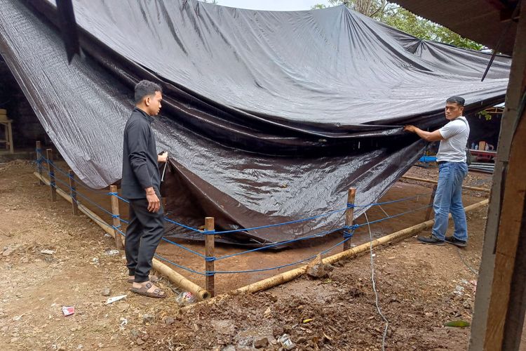 Polisi membongkar arena judi sabung ayam atau tajen di Banjar Dinas Celagi, Desa Unggahan, Kecamatan Seririt, Kabupaten Buleleng, Provinsi Bali, setelah ramai disindir netizen di medsos. 