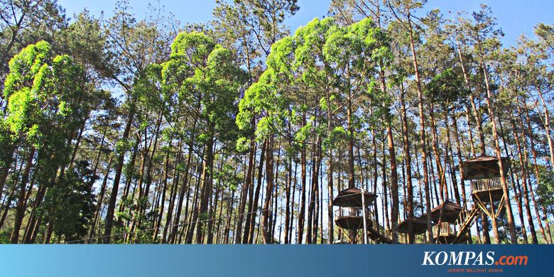 Tiket Masuk, Tarif Menginap, Biaya Outbound di Lawu Park ...