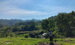 Program KUR Bantu Petani di Tapanuli Selatan Dapatkan Modal untuk Jalankan Usaha