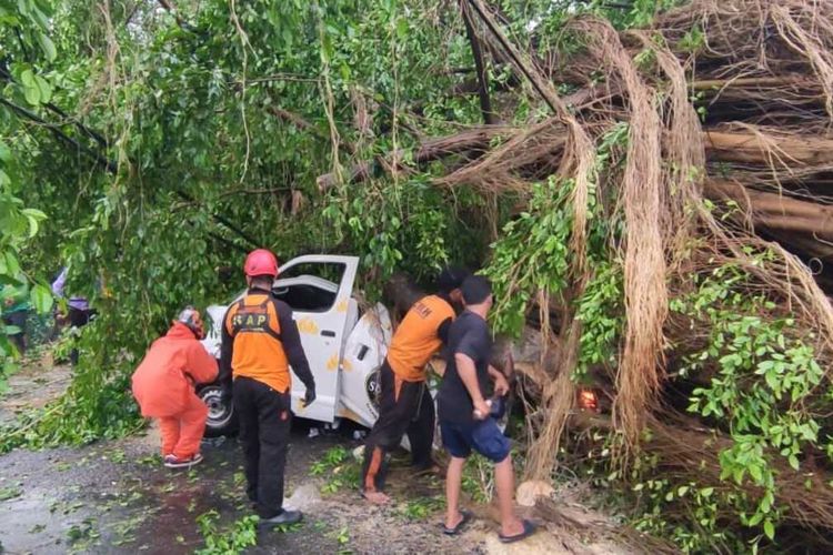 Kondisi evakuasi pohon tumbang dan satu mobil di Kota Solo, Jawa Tengah, setelah diguyur hujan deras disertai angin kencang dan petir, pada Selasa (24/10/2023)