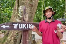 Kisah Para Penjaga Pulau Sangalaki, Selamatkan Ribuan Telur Penyu Tiap Malam