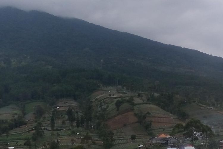 Kepulan asap tidak tampak di kawasan hutan lereng Gunung Slamet Dukuh Bambangan, Desa Kutabawa, Kecamatan Karangreja, Kabupaten Purbalingga, Jawa Tengah, Sabtu (14/9/2019).