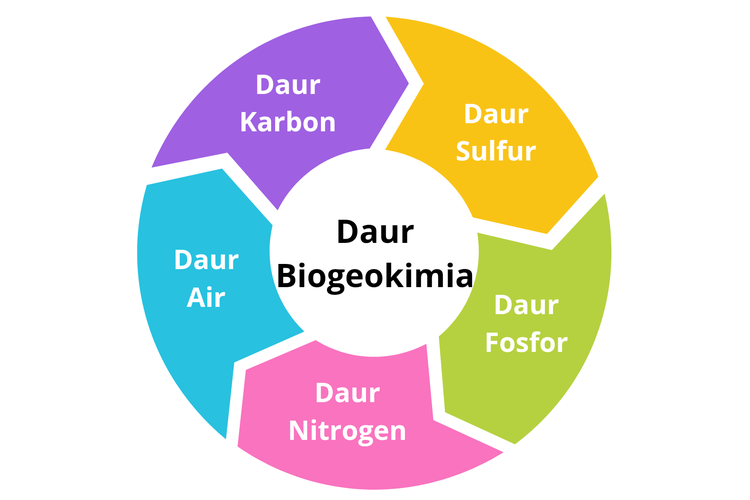 Daur biogeokimia terdiri dari daur air, daur karbon, daur nitrogen, daur fosfor, dan daur sulfur.