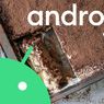 Android 13 Akan Diberi Nama Tiramisu?
