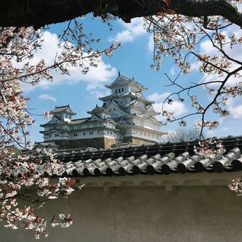 Ilustrasi Himeji Castle atau Kastel Himeji di Hyogo, Jepang.