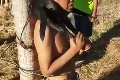 Nekat Curi Anjing di Rumah Warga, Tukang Ojek Ditangkap hingga Diikat di Pohon