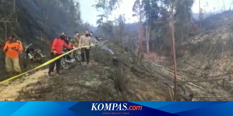 Petugas Berhasil Padamkan Kebakaran Hutan Seluas 70 Hektar di Riau Usai 3 Hari Berjibaku - Vimarsana News