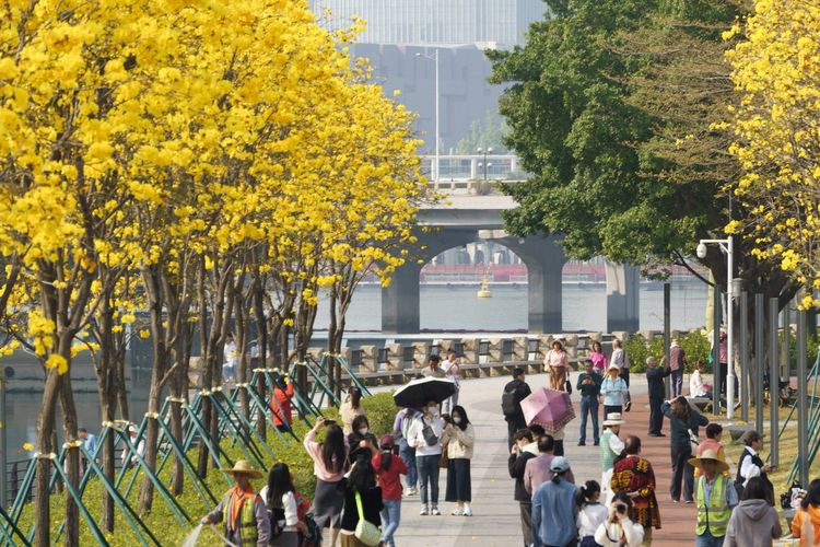 Wisatawan Indonesia Makin Sering Liburan ke Luar Negeri, Ini Faktanya