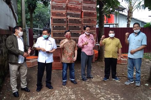 Bekerja Sama dengan Swasta, Kementan Serap Kelebihan Stok Ayam Akibat Dampak Covid-19