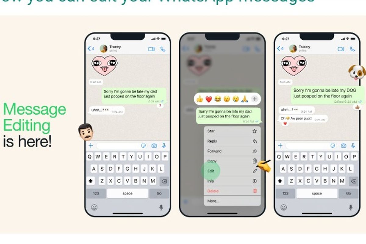 Fitur terbaru WhatsApp yang bisa untuk mengedit pesan setelah terkirim.