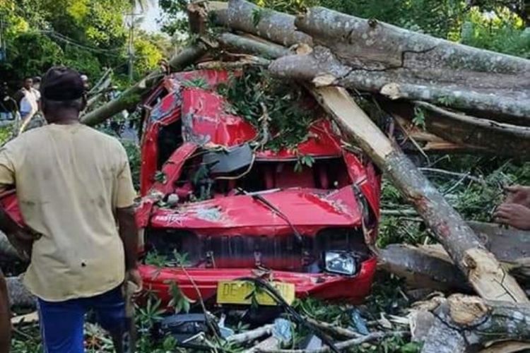Sebuah mobil angkot jurusan Amahai- Masohi ringsek tertimpa pohon tumbang di Kawasan Namano, Kecamatan Amahai, Kabupaten Maluku Tengah, Senin petang (20/1/2020)