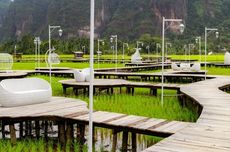 Swarnabhumi Harau, Wisata Baru Berlatar Sawah dan Tebing di Sumatera Barat