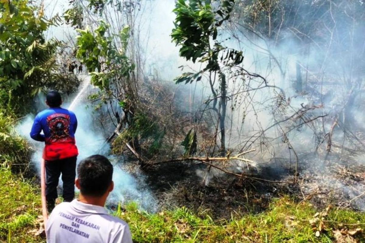 Petugas sedang memadamkan karhutla di Kelurahan Sungai Paret, Kecamatan Penajam, Kabupaten Penajam Paser Utara (PPU), Kaltim. 