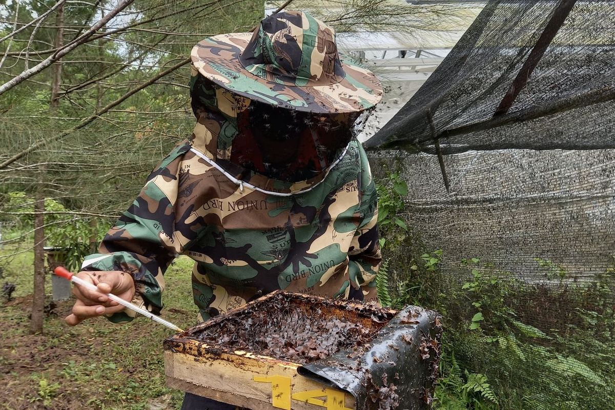 Semen Baturaja Sulap Lahan Bekas Tambang jadi Budi Daya Lebah Trigona