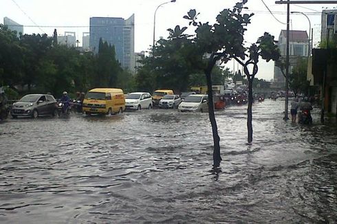 BNPB: Di Jakarta Utara, Kawasan Hijau Hanya 10 Persen