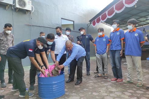 Ungkap Jaringan Ganja dan Tembakau Gorilla, BNN Kota Balikpapan Waspadai Modus Media Sosial