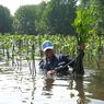 Rehabilitasi KEE Pasarbanggi, Pemkab Rembang Bakal Tanam 10.000 Mangrove
