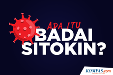 INFOGRAFIK: Apa Itu Badai Sitokin?