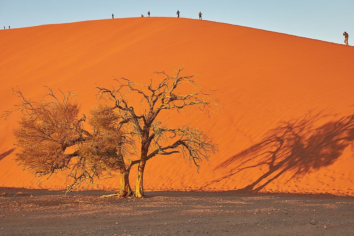 Ilustrasi bukit pasir. Bukit pasir di Sossusvlei, Namibia adalah yang tertinggi di dunia.
