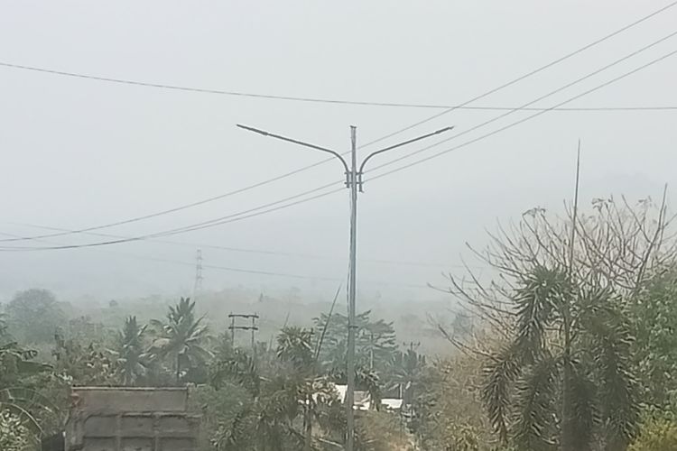 Sikka Diselimuti Kabut Asap, BMKG Sebut Terbawa Angin dari Timur