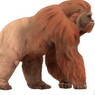 Gigantopithecus, Kera Besar Serupa Bigfoot