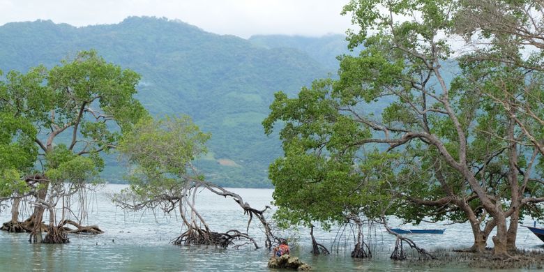 Pemandangan teluk dari Pantai Mali, Alor, NTT.