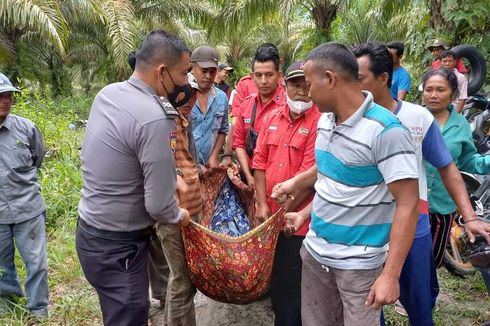 Tak Kunjung Pulang dari Mancing, Pria Ini Ditemukan Tewas di Danau Pekanbaru