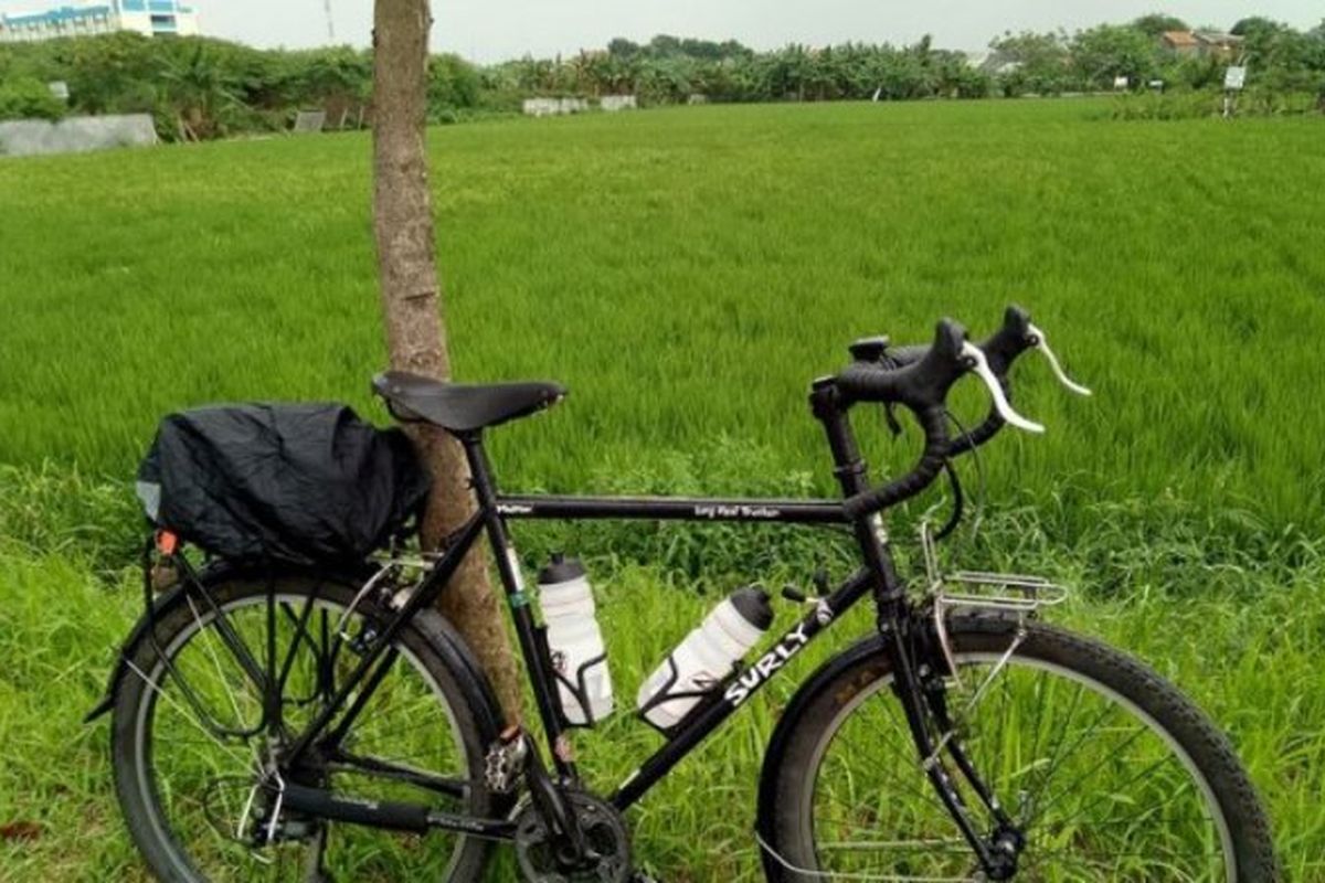 Sawah di Kelurahan Rorotan, Cilincing, Jakarta Utara.