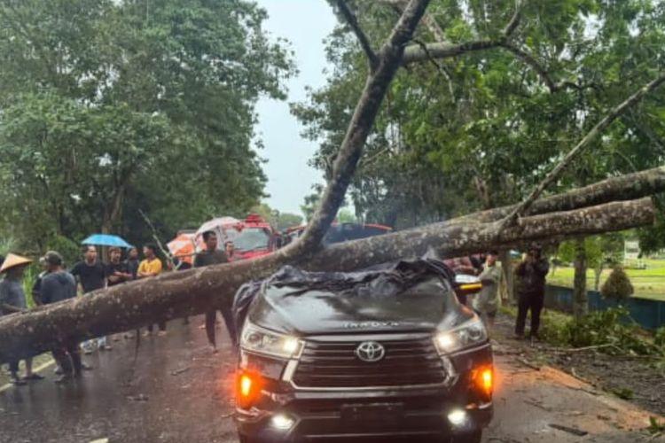 Kanit Dalmas Polres Tanjung Jabung Timur Jambi Tewas Tertimpa Pohon Saat Kemudikan Mobil