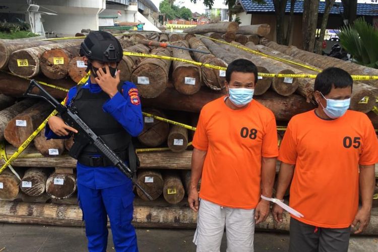 Dua pelaku yang diduga sebagai pemilik kayu ilegal dihadirkan bersama barang bukti, Kamis (11/8/2022). 