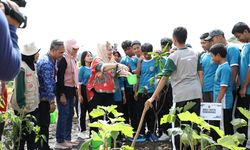 Dukung Swasembada Pangan, Pemkot Semarang Kenalkan Pertanian Terpadu di Sekolah