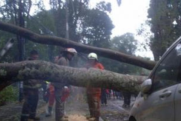 Petugas tengah berupaya memindahkan pohon yang tumbang di sekitar Jalan Ganeca, Bandung, di sekitar kampus ITB. Akibat hujan deras disertai angin pada Rabu (7/10/2015) sore, puluhan pohon tumbang.