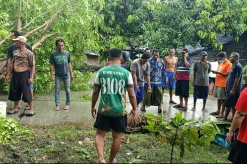 2 Pengendara Motor di Bojonegoro Tewas Tertimpa Pohon Tumbang