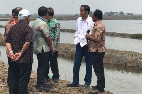 Peringkat RI Naik dalam Kemudahan Berusaha, Jokowi Tetap Belum Puas