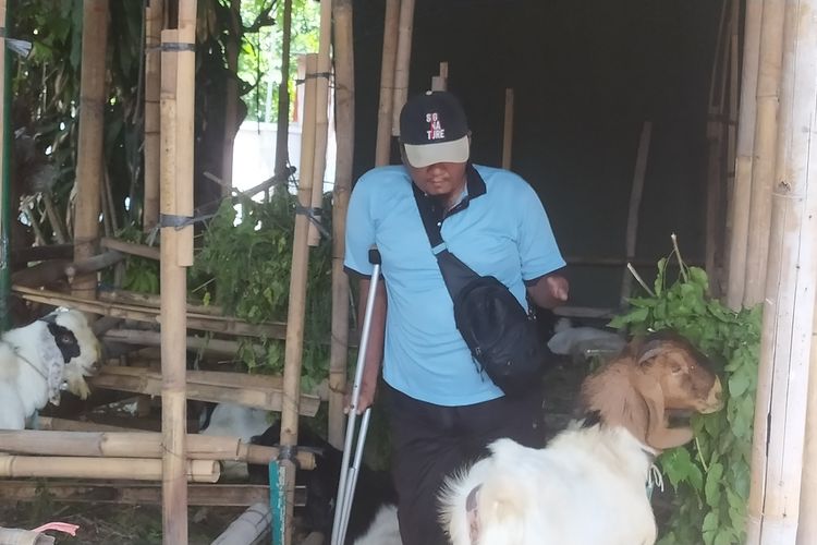 Alim, pemuda disabilitas jualan hewan kurban di Kota Semarang, Jawa Tengah