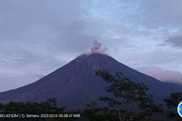 Gunung Semeru kembali luncurkan letusan asap setinggi 800 meter, Selasa (14/2/2023)