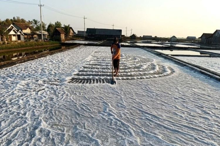 4 Tantangan Besar Indonesia untuk Swasembada Garam 2027
