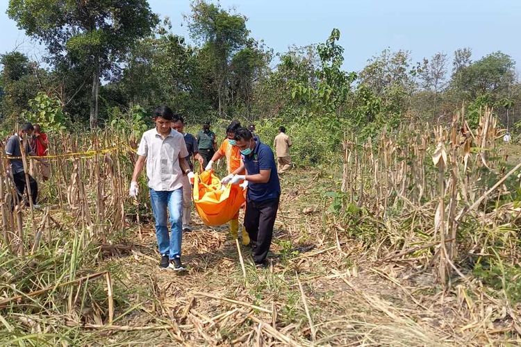 Evakuasi mayat perempuan setengah telanjang diduga korban pembunuhan yang ditemukan di perkebunan jagung di petak 53A1 lahan milik RPH Sidolaju BKPH Kedunggalar yang masuk wilayah Desa Bangunrejo Kidul