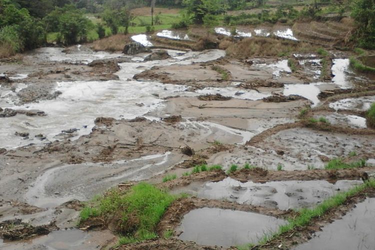Areal persawahan warga di Girsang Sipangan Bolon, Kabupaten Simalungun yang rusak dihajar banjir bandang, Kamis (13/12/2018) dini hari.