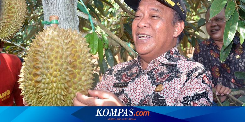 Lamongan Kepincut Kembangkan Destinasi Wisata Agro Durian Halaman All Kompas Com