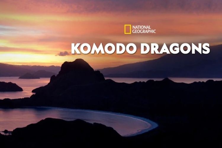 Poster film dokumenter National Geographic - Komodo Dragons (2007)