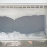 Trik Mempercepat Bunga Es Mencair di Freezer