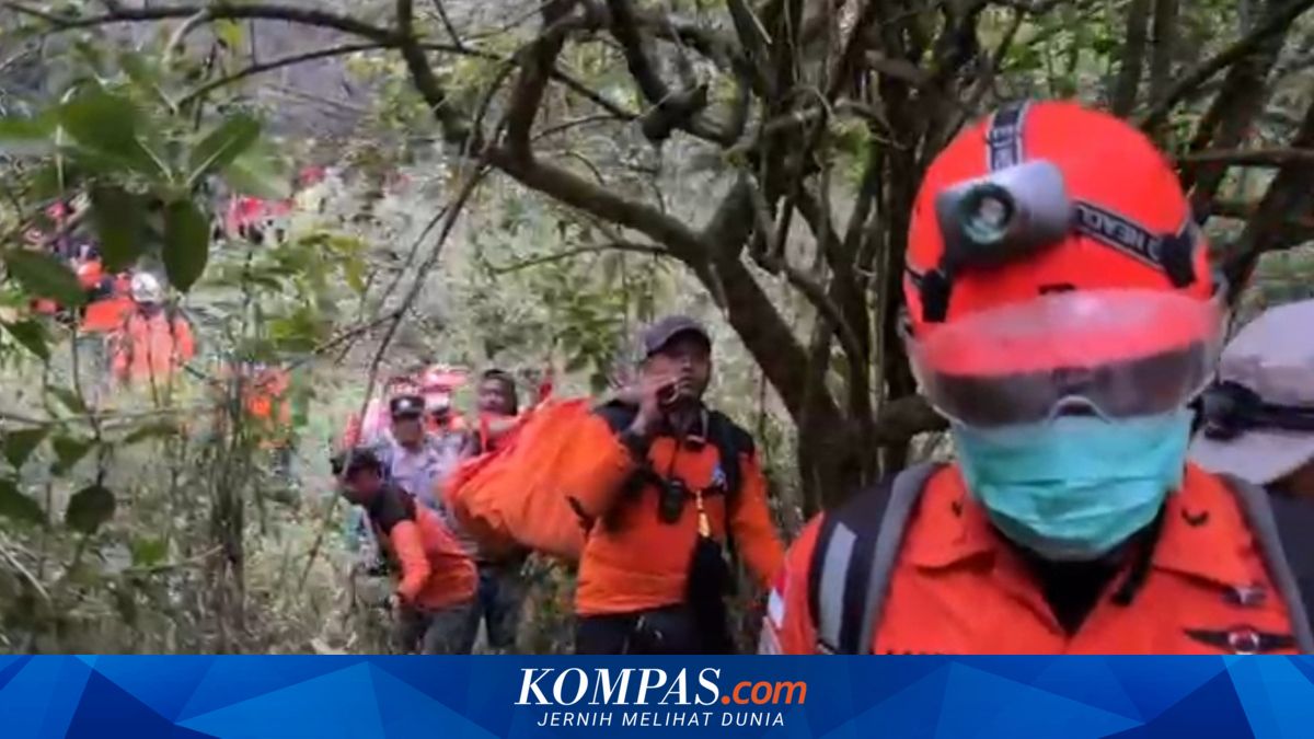 5 Hari Dicari, Mbah Gito Ditemukan Meninggal di Hutan Pathuk Sleman, Lalat Jadi Petunjuk