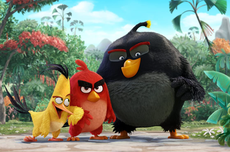Fotografer Potret "Angry Birds" di Dunia Nyata, Begini Penampakannya