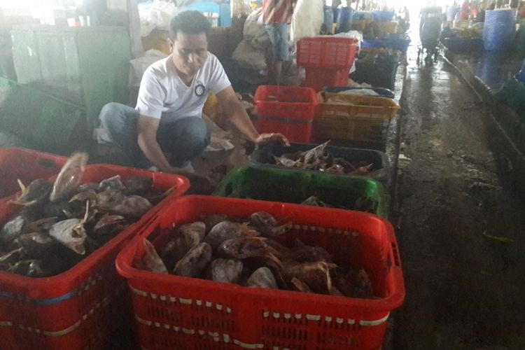 Seorang pedagang tengah memilah ikan dagangannya di Pasar Ikan Muara Baru, Jakarta Utara pada Kamis (8/2/2018)