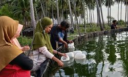 Kementerian KP Diseminasikan Keunggulan Tambak Milenial kepada Generasi Muda