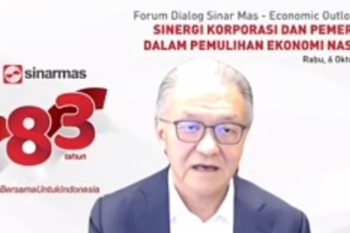 Board Member Sinar Mas Franky O Widjaja dalam webinar bertajuk Sinergi Korporasi dan Pemerintah dalam Pemulihan Ekonomi Nasional, Rabu (6/10/2021).
