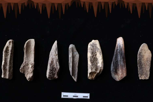 Sampung Bone Culture: Asal-usul dan Fungsinya